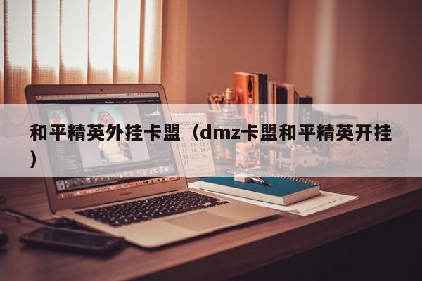 和平精英外挂卡盟（dmz卡盟和平精英开挂）